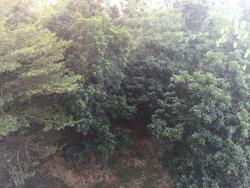 Blk 409A Fernvale Road (Sengkang), HDB 4 Rooms #121509732